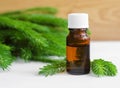 Bottle of essential spruce (fir) oil Royalty Free Stock Photo