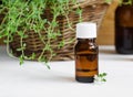 Bottle of essential thyme oil Royalty Free Stock Photo