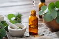 Bottle of eucalyptus oil, mortar and bowl of green eucalyptus leaves.