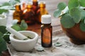 Bottle of eucalyptus oil, mortar and wooden bowl of green eucalyptus leaves. Tincture and oil bottles on background