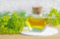 Bottle of euphorbia cyparissias, cypress spurge extract (Milkweed herbal tincture, infusion, oil)