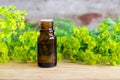 Bottle of euphorbia cyparissias, cypress spurge extract (Milkweed herbal tincture, infusion, oil)