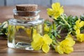 A bottle of evening primrose oil with evening primrose flowers Royalty Free Stock Photo