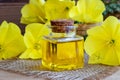 A bottle of evening primrose oil with fresh blooming evening pri