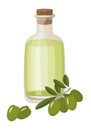 Bottle of Extra virgin healthy Olive oil and fresh green olives with leaves. Raster illustration on white background Royalty Free Stock Photo