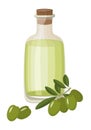 Bottle of Extra virgin healthy Olive oil and fresh green olives with leaves. Vector illustration on white background Royalty Free Stock Photo