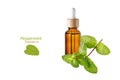 Bottle of face oil serum or peppermint essential oil and mint leaves isolated on white Royalty Free Stock Photo