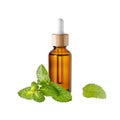 Bottle of face oil serum or peppermint essential oil and mint leaves isolated on white Royalty Free Stock Photo