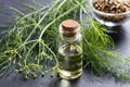 A bottle of fennel essential oil with fresh fennel tops and seed