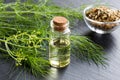 A bottle of fennel essential oil with fresh fennel twigs