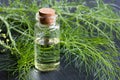 A bottle of fennel essential oil with fresh fennel