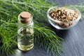 A bottle of fennel essential oil with fresh fennel