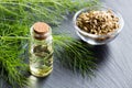 A bottle of fennel essential oil with fresh fennel twigs and see
