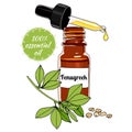 Bottle of Fenugreek essential oil with dropper.