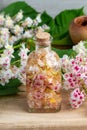 A bottle filled with horse chestnut blossoms and alcohol, to pre