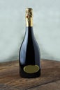 Bottle of fine italian spumante wine Royalty Free Stock Photo