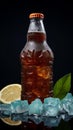 Bottle of fizzy carbonated beverage paired with ice for a cooling treat Royalty Free Stock Photo