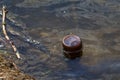 Bottle floating in a pond