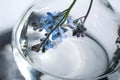 Bottle with flower and liquid