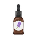 bottle fragrance oil color icon vector illustration Royalty Free Stock Photo