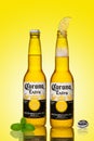 Bottle of fresh beer, cold beer Corona Extra lime and mint.