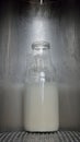 Bottle of Fresh Milk Royalty Free Stock Photo