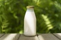 A bottle of fresh milk on a sunny summer farm meadow, grass, nature and plants. Mockup, eco food, dairy products concept Royalty Free Stock Photo