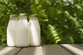 A bottle of fresh milk on a sunny summer farm meadow, grass, nature and plants. Mockup, eco food, dairy products concept Royalty Free Stock Photo