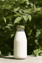 A bottle of fresh milk on a sunny summer farm meadow, grass, nature and plants. Mockup, eco food, dairy products concept Royalty Free Stock Photo