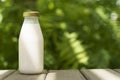 A bottle of fresh milk on a sunny summer farm meadow, grass, nature and plants. Mockup, eco food, dairy products concept Royalty Free Stock Photo