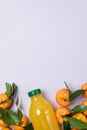 Bottle of Fresh Tangerine Juice with Ripe Tangerines Leaves Healthy Detox Drink Top View Blue Background Vertical