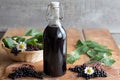 A bottle of freshly prepared elderberry syrup Royalty Free Stock Photo