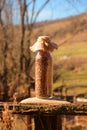 Bottle full of different types of grains, seeds