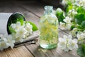 A bottle of garden jasmine oil and philadelphus coronarius flowers Royalty Free Stock Photo