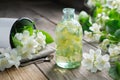 A bottle of garden jasmine oil and philadelphus coronarius flowers