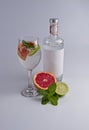 Bottle of gin with glass of gin and tonic with slice of grapefruit and lime with sprig of mint