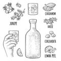 Bottle gin, lime, anise, cardamom, lemon, coriander, juniper. Vintage vector engraving Royalty Free Stock Photo