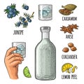 Bottle gin, lime, anise, cardamom, lemon, coriander, juniper. Vintage vector engraving Royalty Free Stock Photo