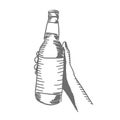 Bottle in a girl female hand. Glass bottle with a label. Sketch hand drawn. Hatched drawing picture. Gray pencil. Vector Royalty Free Stock Photo