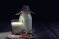 Bottle and glass with almond vegetable milk on a dark background