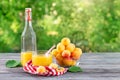 Bottle and glass of apricot juice with apricots on green background