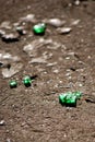 Bottle glass on the asphalt