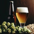 Bottle and Glass beer with Brewing ingredients. Hop flower with wheat Royalty Free Stock Photo