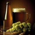 Bottle and Glass beer with Brewing ingredients. Hop flower with wheat Royalty Free Stock Photo