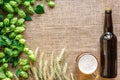 Bottle and Glass beer with Brewing ingredients. Hop flower with wheat. Top view. Royalty Free Stock Photo