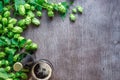 Bottle and Glass beer with Brewing ingredients. Hop flower with wheat. Top view. Royalty Free Stock Photo