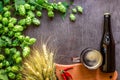 Bottle and Glass beer with Brewing ingredients. Hop flower with wheat. Top view. Royalty Free Stock Photo