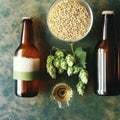 Bottle and Glass beer with Brewing ingredients. Hop flower with wheat. Top view. Copy space. Still life. Flat lay Royalty Free Stock Photo