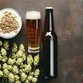 Bottle and Glass beer with Brewing ingredients. Hop flower with wheat. Top view. Copy space. Still life. Flat lay Royalty Free Stock Photo