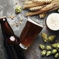 Bottle and Glass beer with Brewing ingredients. Hop flower with wheat. Top view. Copy space. Still life. Flat lay Royalty Free Stock Photo